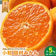 AB7311_【2026年先行予約】小粒田村みかん 2S・3Sサイズ 秀品 約5kg _ 和歌山プレミアムブランドみかん 小玉 小さい 蜜柑 ミカン フルーツ 果物 ギフト お歳暮