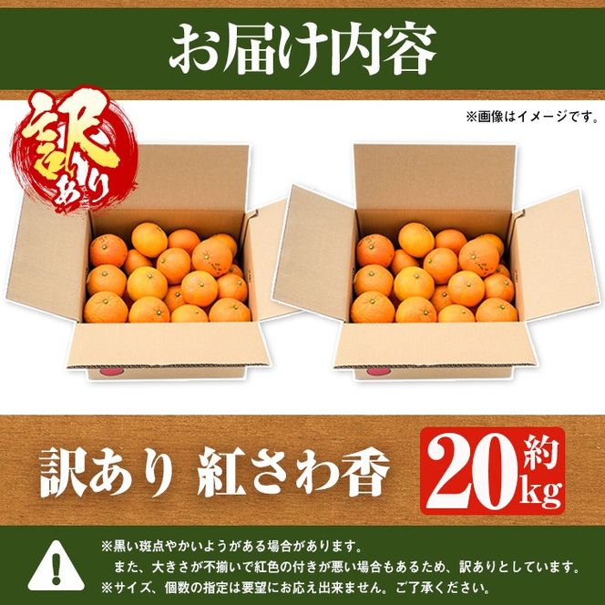 訳あり 紅さわ香(約20kg) 国産 鹿児島県 阿久根市 果実 果物 フルーツ 柑橘 みかん ミカン 紅甘夏 期間限定 数量限定 【桐野柑橘株式会社】akn070-19
