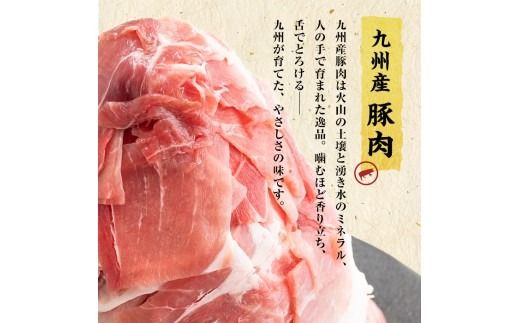 【訳あり・生産者応援企画】九州産 豚切り落とし肉＜計4.8kg(300g×16P)＞ b3-023