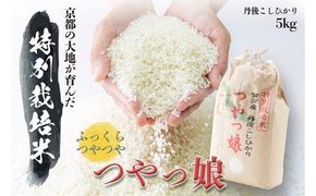 令和7年産 特別栽培米つやっ娘米 5kg 丹後こしひかり お米 米 ご飯 コシヒカリ つやっ娘 丹後 宮津 京都 海の京都 特別栽培米 グルメ 