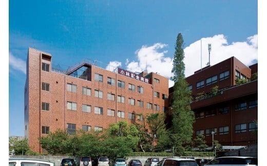 小林記念病院人間ドック（プレミアムコース）利用券 1名様分 CT検査 骨密度 脳ドック 健診 健康診断 健康 脳 内臓 骨 脳疾患 生活習慣病 券 チケット ギフト 贈り物 愛知県 碧南市 H203-001