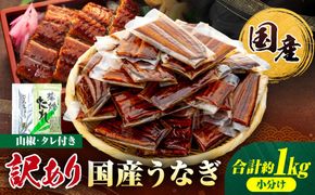 訳あり 国産 うなぎ 1食 パック 合計1kg 20～30パック 山椒 付き タレ 30個 付 数量限定 Y010