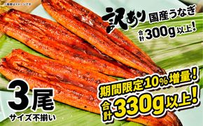 〈2026年01月発送〉【訳あり】さかい河岸水産 国産 うなぎ 3尾 330g以上！ ※サイズ不揃い うなぎ蒲焼 国産 人気 鰻 うなぎ 3尾 K1804