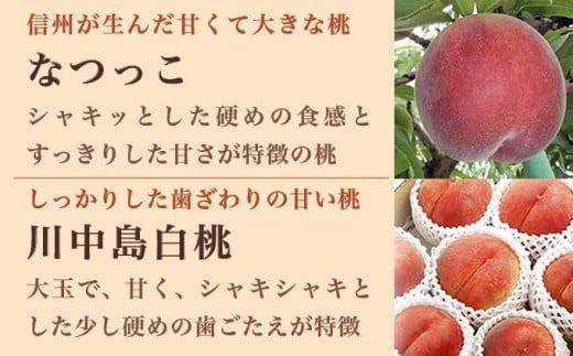 旬の白桃 約900g 約2kg 約3kg 選べる内容量 ［小布施屋］ 長野県産 白桃 もも モモ フルーツ 果物 期間限定 数量限定 長野県産 信州産 クール便 冷蔵便 たまき なつき あかつき 川中島白鳳 川中島白桃など 先行予約 2025 令和7年産 【2025年7月上旬～9月中旬発送】