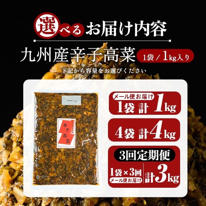 a568 《選べる内容量・配送》九州産辛子高菜(1kg・4kg・3回定期便)【九州新進】姶良市 国産 九州産 たかな 漬物 漬け物 ご飯のお供 おかず おつまみ おにぎり 常温 常温保存 定期便