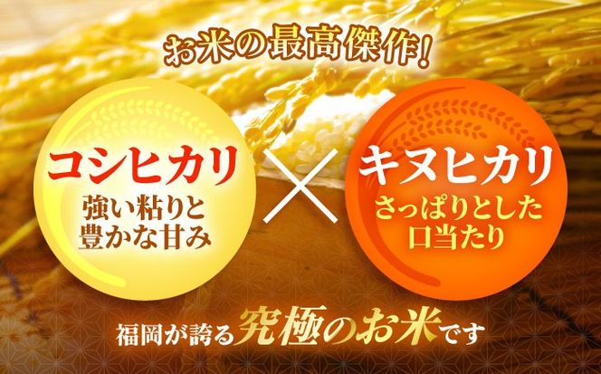 令和7年産 精米 夢つくし 5kg【ナガノノウエン】/築上町[ABEW001]