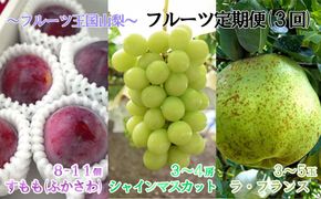 【2026年発送分】【フルーツ定期便】シャインマスカット 約２kg (３～４房)＆【糖度16度以上】すもも『ふかさわ』約1.3〜1.5kg（8〜11個）＆ラ・フランス 約1.5kg（3～5玉）　シャイン マスカット ぶどう ブドウ 葡萄 李 スモモ 洋なし 洋梨 洋ナシ フルーツ 果物 くだもの 山梨 やまなし 富士川町