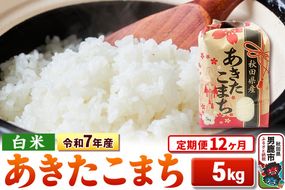 《定期便12ヶ月》令和7年産 【白米】秋田県産 あきたこまち 5kg|23_kml-030512