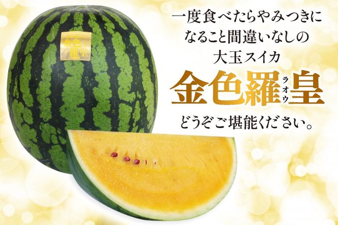 【CF01】BG075【令和8年度出荷分】幻のゴールデンスイカ！～金色羅皇（ラオウ）～（7～12kg） [先行予約 数量限定 すいか スイカ 西瓜 らおう 羅王 フルーツ 果物 長崎 長崎県 島原市]