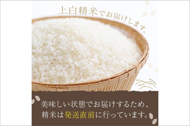 令和7年産  丹後こしひかり 3kg 1等米　MU00067