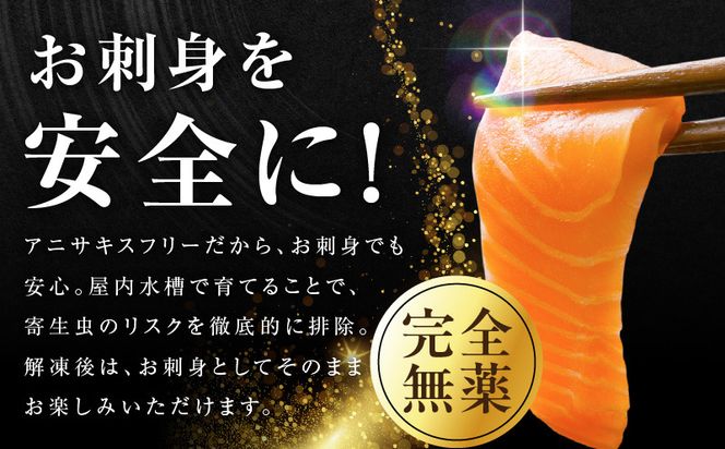 G5602-2 シャインサーモン 380g以上【国産 小分け さーもん 鮭 さけ シャケ しゃけ 冷凍 サイズ不揃い 訳あり】