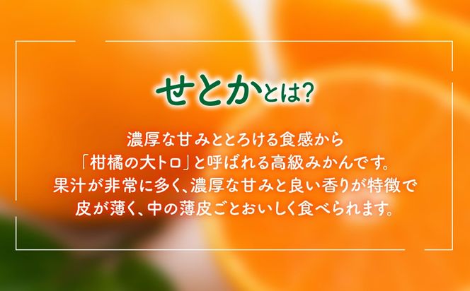 【先行予約】【柑橘】せとか 3kg　※2027年3月中旬より順次発送予定 IKTAT019