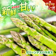 【2027年5月～発送】北海道 富良野産 露地 グリーン アスパラ L～Mサイズ混合 約1kg 野菜 アスパラガス