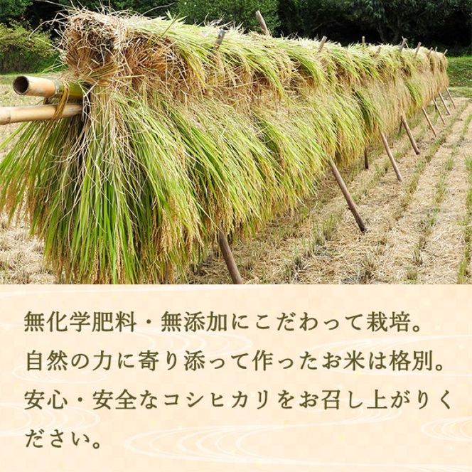 定期便 4ヶ月 ベストファーマーズ賞受賞 コシヒカリ 玄米 2kg 無農薬 無添加 令和８年産 お米 チャック付 チャック 小分け 少量 少量パック 白米 精米 一等米 産地直送 送料無料 長野 定期 4回