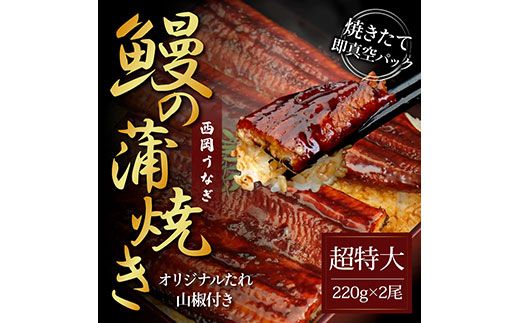 【CF-R7hbk】KGP036　本気の高知ブランド鰻「西岡うなぎ」 - 超特大サイズ - うなぎの蒲焼き2尾セット（約440g）タレ山椒付き ＃食べて応援
