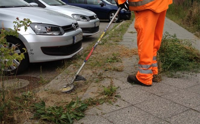 スーパーカルマーPRO用替刃　細目刃