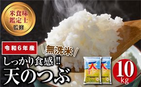 ＼ 年内発送 12/24(火)決済完了分まで！／【 新米 】【 無洗米 】 令和6年産 田村産 天のつぶ 10kg ( 5kg × 2袋 ) 先行予約 精米 白米 贈答 ギフト プレゼント 美味しい 米 kome コメ ご飯 ブランド米 精米したて お米マイスター 匠 食味鑑定士 福島 ふくしま 田村 安藤米穀店