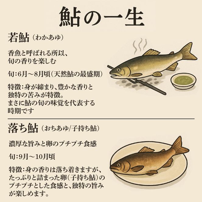 【夏季限定】清流 久慈川 天然鮎 6～7匹｜茨城県 大子町 あゆ 魚 川魚 冷凍（AA001）
