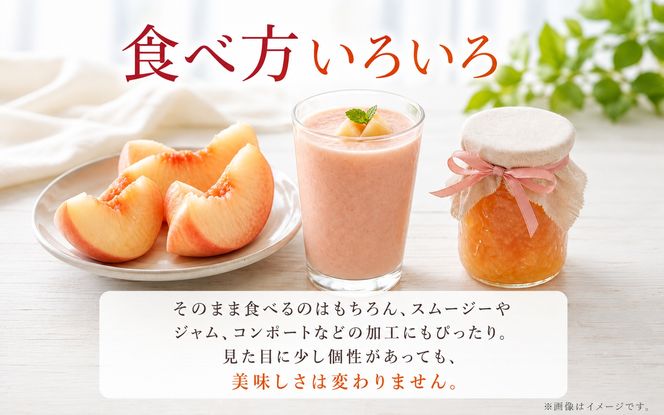 【ご家庭用訳あり】紀州和歌山産の桃　約1.8kg（5玉〜8玉）※2027年7月中旬頃〜8月中旬頃順次発送（お届け日指定不可）【uot873】