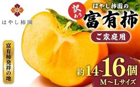 【先行予約】【訳アリ】はやし柿園のご家庭用 富有柿 M~Lサイズ 約14～16個 | 柿 カキ かき 訳アリ わけあり 果物 フルーツ 予約 高糖度 濃厚 秋の味覚 旬 お取り寄せ お取り寄せグルメ ご自宅用 ※2026年11月中旬頃より順次発送予定 ※離島への配送不可