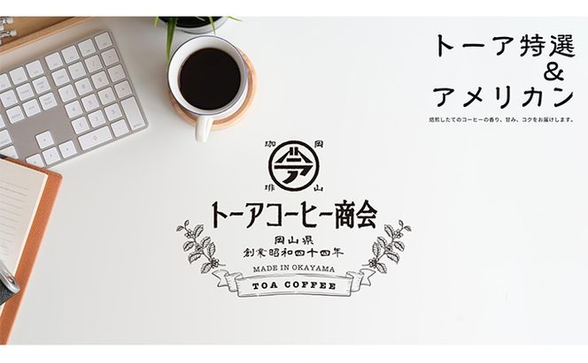 自家焙煎 コーヒー 1kg（500g×2袋）トーア特選ブレンド 1袋 アメリカンブレンド 1袋 トーアコーヒー商会 ブレンドコーヒー 焙煎 珈琲 飲料類 コーヒー豆 珈琲豆 コーヒー粉 1kg 