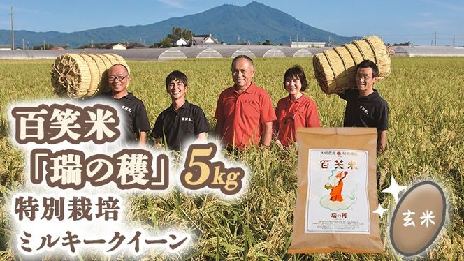 玄米 百笑米 「 瑞の穫 」 特別栽培 ミルキークイーン 5kg R7年産 米 コメ 茨城県 単一米 [AC014ci]
