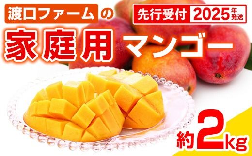 [先行受付][2025年発送]渡口ファームの家庭用マンゴー約2kg
