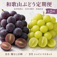 定期便 8・9月発送 紀州有田産旬のぶどうセット（種なし巨峰・シャインマスカット）  AN064