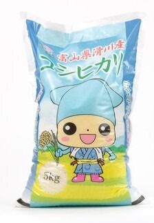 滑川産コシヒカリ（精米5kg）【通年発送】[A-007005]