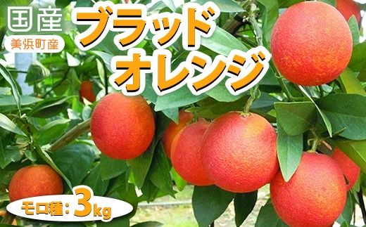 国産(美浜町産)ブラッドオレンジ 『モロ種3kg入り』　※2026年2月中旬～3月中旬頃までに順次発送予定