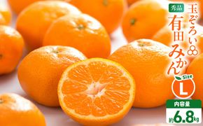 MK1043_2月28日終了！ 最短出荷すぐ届く！みかん Ｌサイズ 秀品 箱込 7.5kg ( 内容量 6.8kg ) 有田みかん 和歌山県産 産地直送 贈答用 【みかんの会】