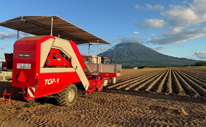 【 2026年 出荷 】 北海道 俱知安町産 ネバリスター 計5kg 北海道産 芋 ながいも 長芋 とろろ 新鮮 フレッシュ 野菜 農作物 産直 山芋 大和芋 イチョウ芋 麦とろ 山かけ おつまみ グリーンアースファーム 送料無料 倶知安町