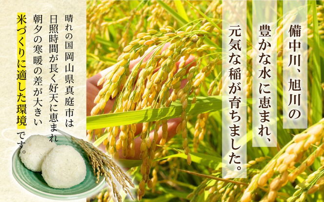 ＜定期便全３回＞ 令和7年産 真庭市産 ひとめぼれ 白米 10kg(5kg×2袋)×3回 / お米 岡山県 真庭市 白米 米 ひとめぼれ 人気 2025年産 【tkns-tkb004-cho】