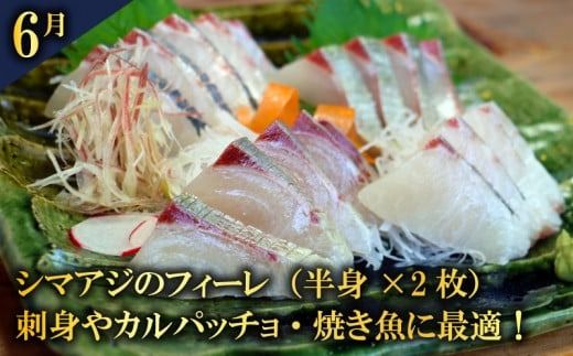 定期便 かつお タイ ブリ 愛南ゴールド真鯛 シマアジ カンパチ 6回 刺身 鮮魚 冷凍 真空 パック 旬 高級魚 鰤 鰹 鯛 縞鯵 勘八 魚 魚介 魚介類 海鮮 海鮮食品 おかず おつまみ 新鮮 天然 養殖 ハマスイ 愛南町 愛媛県