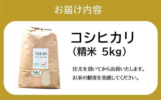 コシヒカリ＜特別栽培米＞精米 5㎏（減農薬 有機肥料 お米 米 おこめ こめ 白米 こしひかり 令和7年産）【002309A】