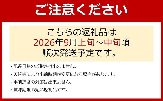 【先行予約】有田巨峰村三木と園の露地栽培あま～い種あり巨峰3kg  	BR08