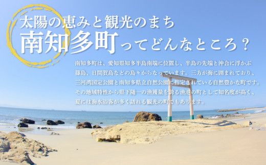 焼き海苔 100枚 ( 10枚 × 10袋 ) 全形 海苔 のり 焼きのり 板のり 家庭用 愛知県 南知多町 ご飯 ごはん 料理 丼 国産 カネ成 人気 おすすめ