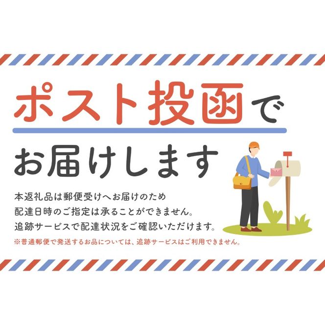 「まじかるピンチⅡ」 リング付き 8個セット　／　洗濯バサミ 便利グッズ ステンレス製【0007-023】