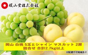 桃 ぶどう 2026年 先行予約 岡山 白桃 5玉とシャイン マスカット 2房 詰合せ 合計2.7kg以上 もも 葡萄 岡山県産 国産 フルーツ 果物 ギフト 環山堂