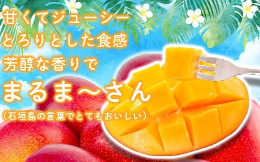 ＜先行予約＞「マンゴー」 ⽯垣島ど真ん中 まるま〜さん マンゴー 1kg (2～3玉) ≪2026年7月頃より順次発送予定≫ (アーウィン種)【 産地直送 マンゴー アーウィンマンゴー アップルマンゴー 沖縄県 八重山 石垣産 アーウィン種 マンゴー フルーツ 果物 】 IT-1