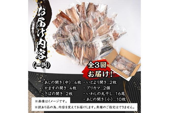 ＜定期便・全3回 (隔月)＞訳あり 干物大満足BOX (40尾以上) 定期便 簡単 調理 干物 あじ かます さば いわし みりん干し 丸干し 開き 魚 海鮮 冷凍 詰め合わせ セット 大分県 佐伯市【AQ85】【(株)やまろ渡邉】