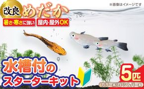 メダカスターターキット アクアリュウムタワー ブラック 【株式会社プロスパージャパン】 スターターキット 水槽 セット[AEAK005]