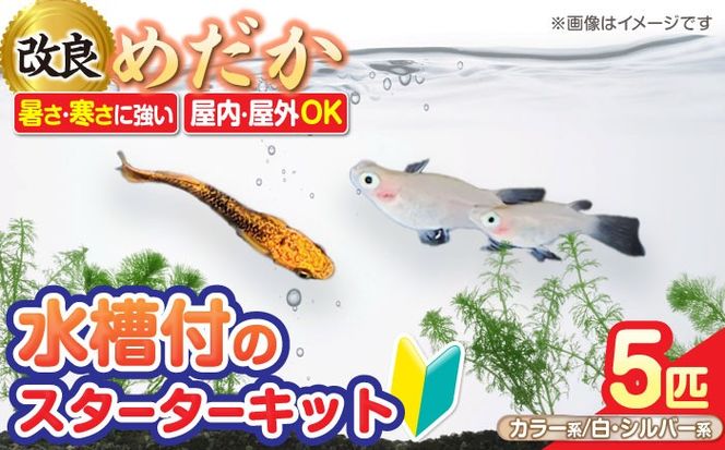 ymsz_JX^[^[Lbg ANAE^[ ubN yЃvXp[Wpz X^[^[Lbg  Zbg[AEAK005]