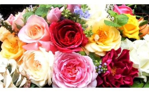 バラとハーブのプチアレンジメント（バラとハーブ）[BN005ci]