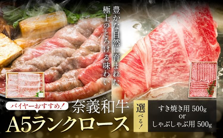 奈義和牛 A5ランクロース バイヤーおすすめ! 選べる しゃぶしゃぶ用 すき焼き用 500g 株式会社 天満屋[30日以内に出荷予定(土日祝除く]岡山県 笠岡市 和牛 牛肉 肉 A5ランク しゃぶしゃぶ すき焼き 送料無料--- T-25---