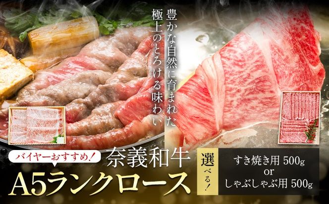 yR}szދ`a A5N[X oC[߁I Iׂ Ԃԗp Ăp 500g  Vs30ȓɏoח\(yjtR }s a   A5N Ԃ Ă --- T-25---