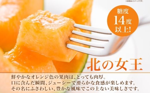 【2026年夏発送】北海道 赤肉メロン 北の女王 秀品 約1.6kg×1玉 令和8年 メロン 果物 フルーツ 旬 季節 希少 貴重 甘い 豊潤 国産 デザート ご褒美 産地直送 ギフト お祝い 贈答品 贈り物 お中元 常温 お取り寄せ 送料無料 