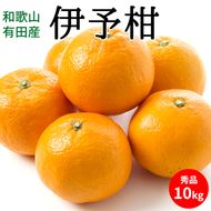 【2027年先行予約】伊予柑 秀品 約10kg 和歌山県有田産_U6307