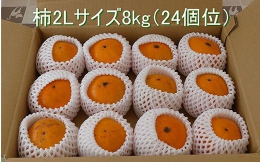 【先行予約2025年10月下旬発送開始】山武の柿 約8kg(24個入り×1箱) SML001