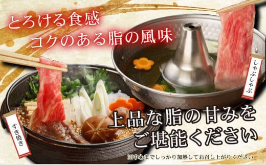 佐賀牛肩ロース（クラシタ）薄切り  600g　C-607